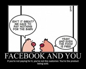 facebook-and-you-pigs-450x360-300x240.jp