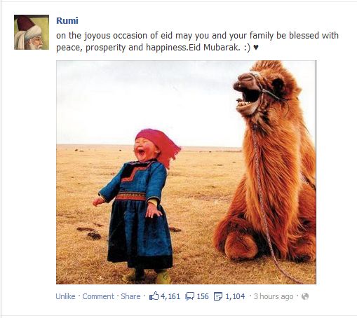 Joyful child and camel
